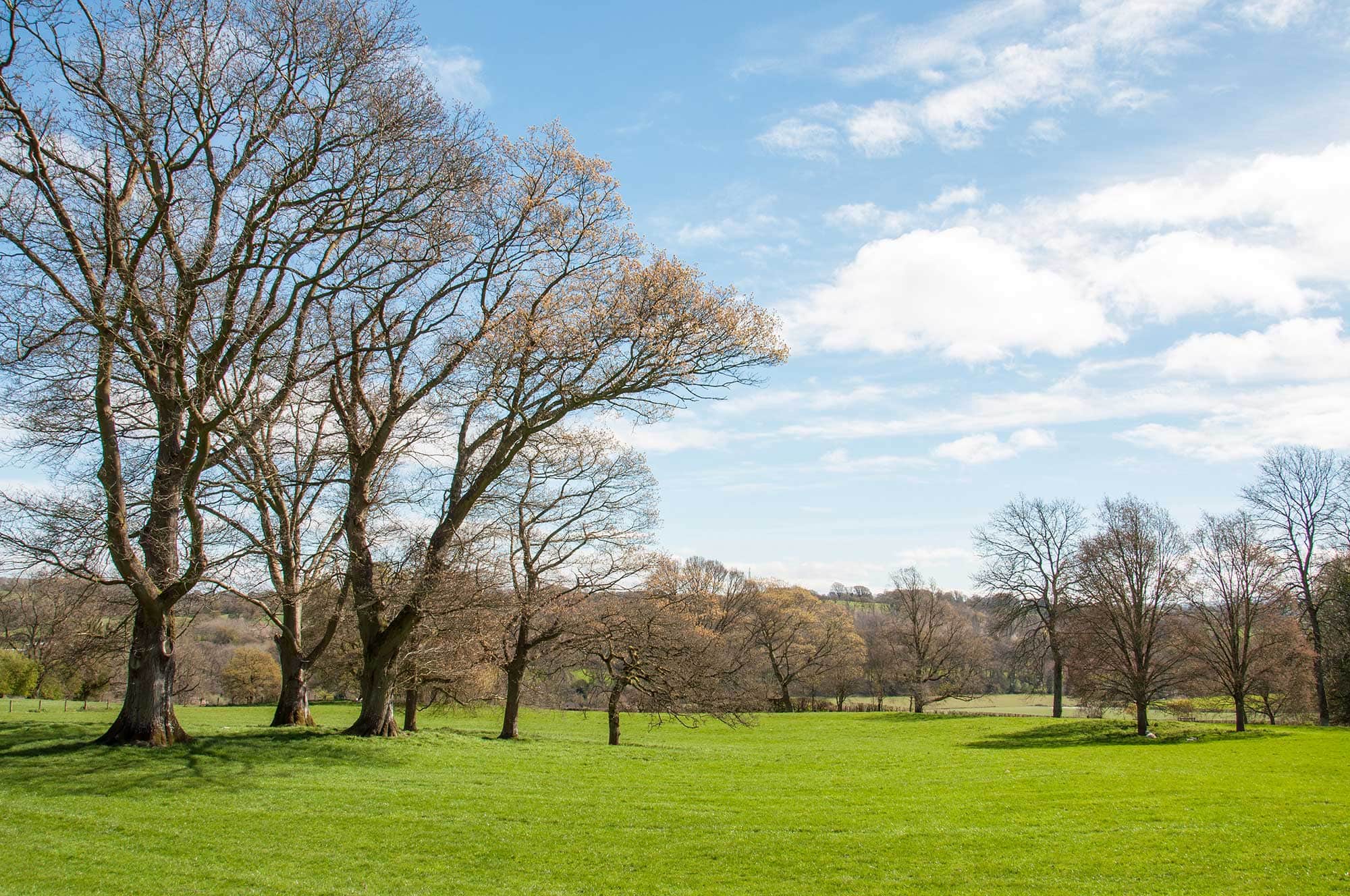springtime meadow in the british countryside 2025 10 11 05 13 14 utc scaled